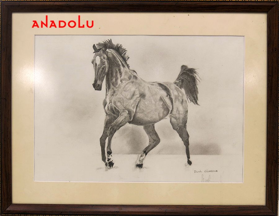 Karakalem At Resmi Çizin Kişiler Çukurovada