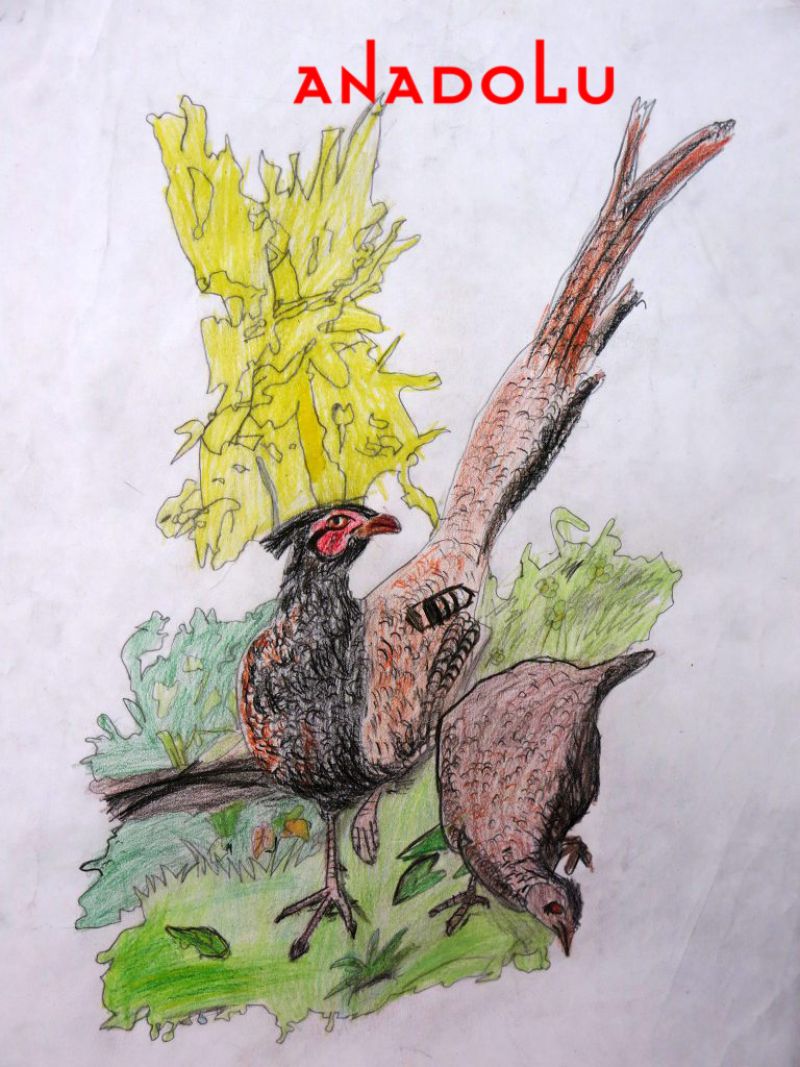 Çocuklar Yönelik Resim Kursu Çukurovada