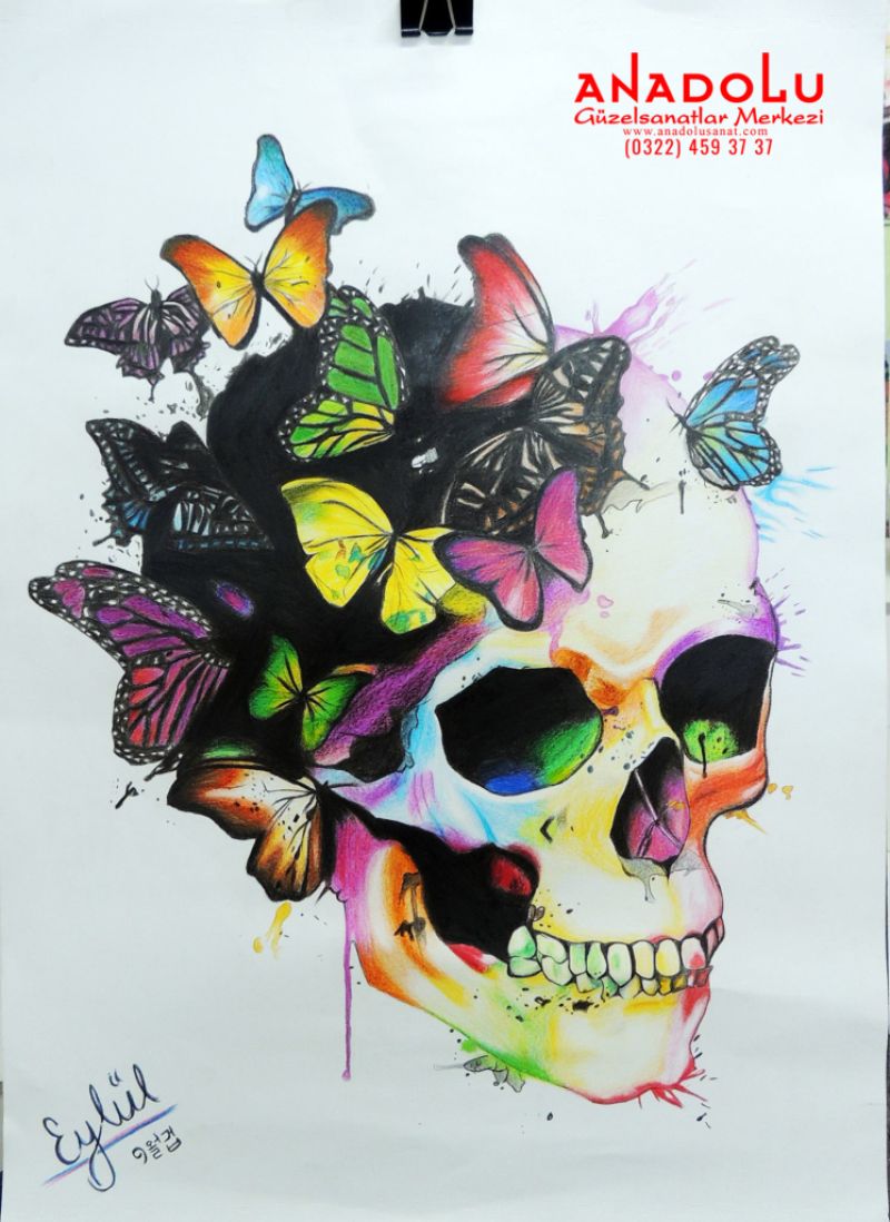 Kuru Boya Tekniği İle Yapılan Kuru Kafa Çizimleri Çukurovada